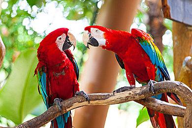 外媒盘点2024年15款生存类游戏 《潜行者2》等